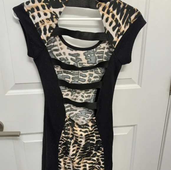 Leopard Dress - Picture 2 of 5